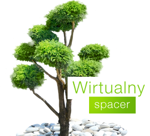 Wirtualny spacer