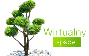Wirtualny spacer